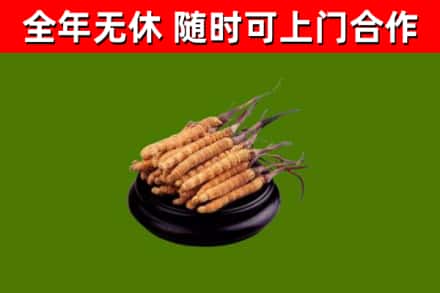南城县烟酒回收冬虫夏草.jpg